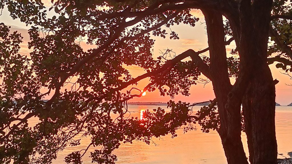 mitä työnohjaus on